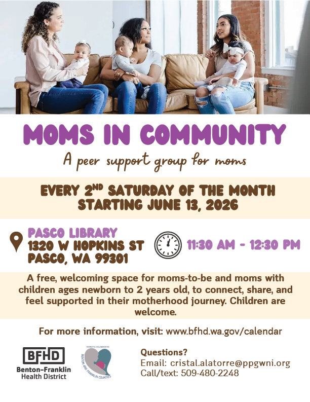 Mom Support Group Flyer English