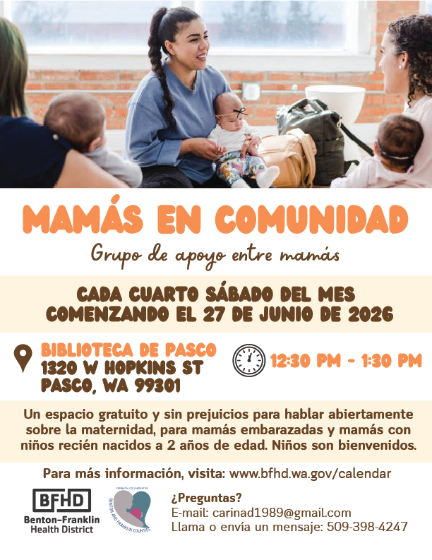 Mom Support Group Flyer Spanish